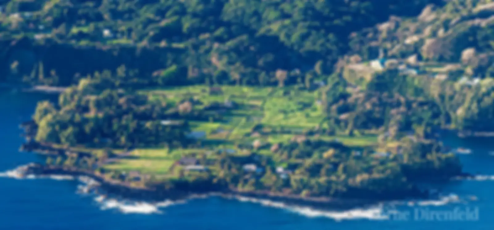 Keanae Peninsula, Maui, where taro is grown . . .