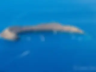 Snorkel tour boats at Molokini crater in the morning . . .