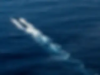Pearl Harbor is the home of 18 nuclear submarines. When leaving or arriving, they surface or dive far off-shore, out of sight of land. When armed with nuclear weapons, they are accompanied in and out of the harbor by military helicopters . . .