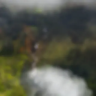 Peering through the clouds on the Hamakua coast, and seeing magic!